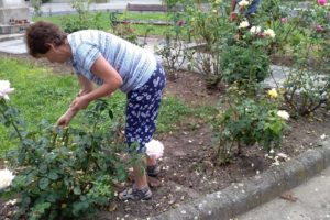 Ismét szorgos kezek ténykedtek a Kastélyszálló előtti Kövér-kereszt körül. 