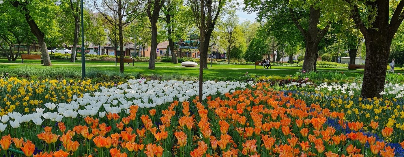 Martfűi Városszépítő Egyesület