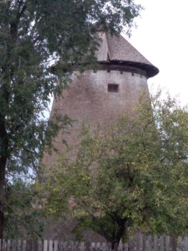 image004 (1) (1)